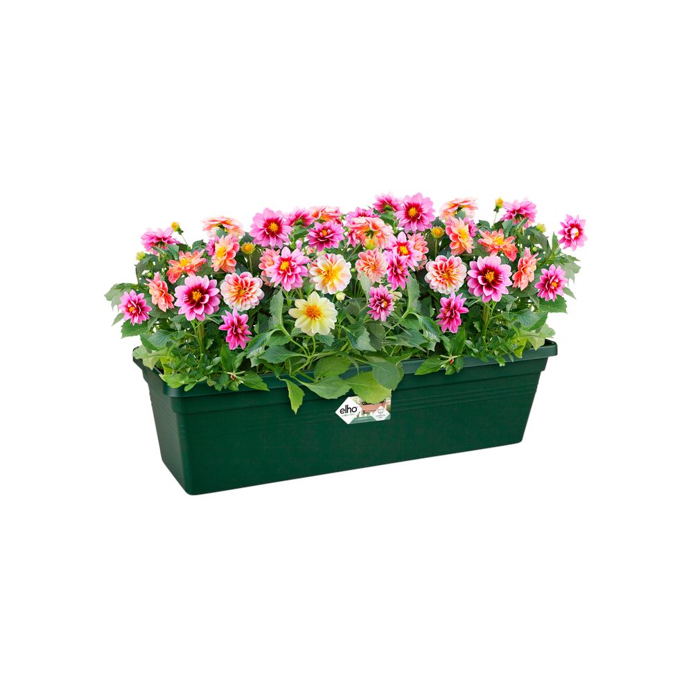 green-basics-bloembak-rechthoekig-60cm-blad-groen