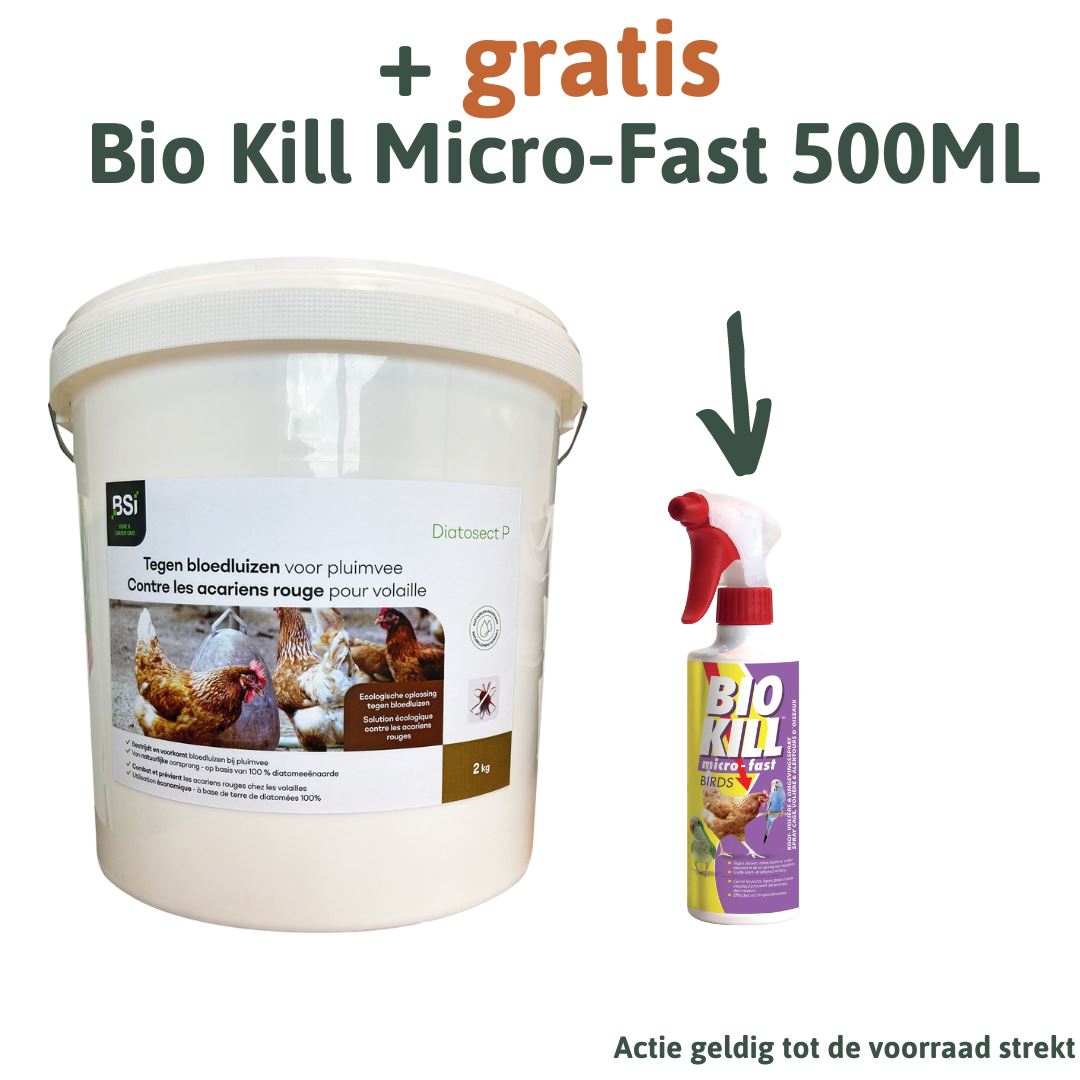 Diatosect-2kg-Diatomeeenaarde-de-oplossing-tegen-bloedluizen-bij-pluimvee-rode-vogelmijt-