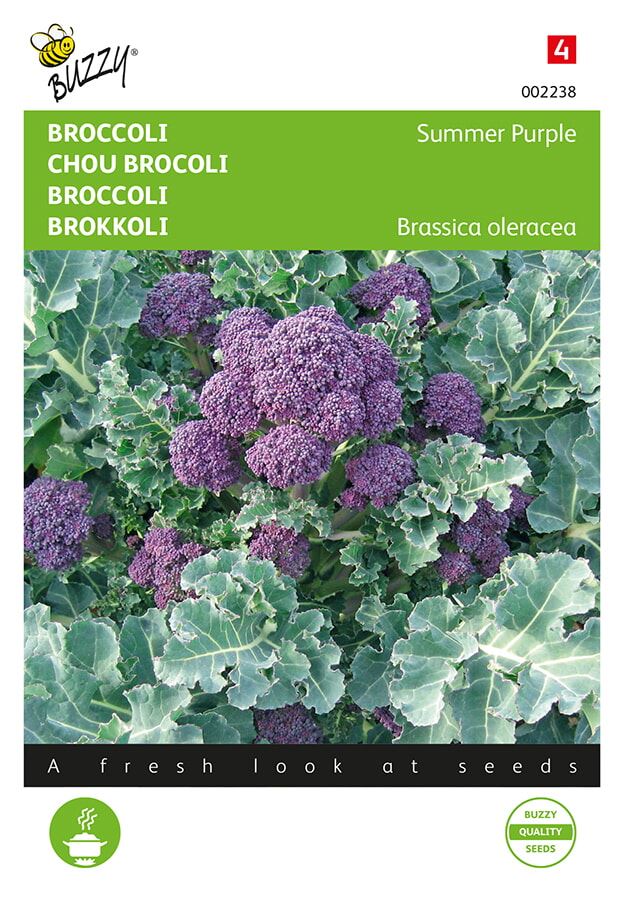 Buzzy® Broccoli seeds - Summer Purple