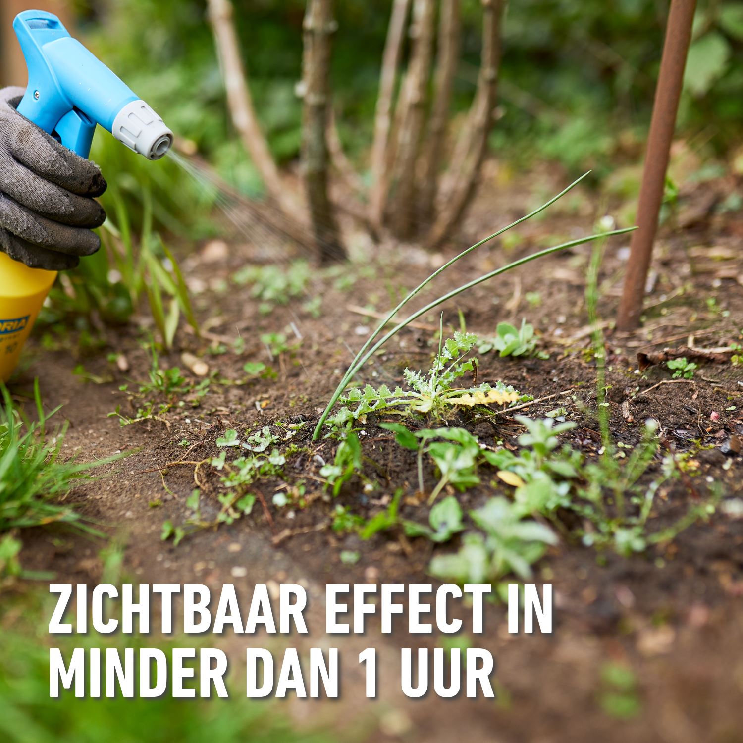 Herbistop-anti-onkruid-anti-mos-XTREME-1-L