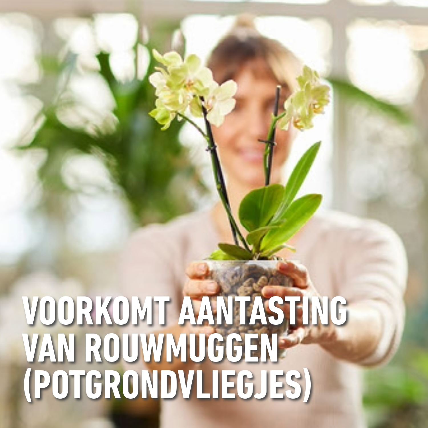 Granuplant-Orchideeen-3L