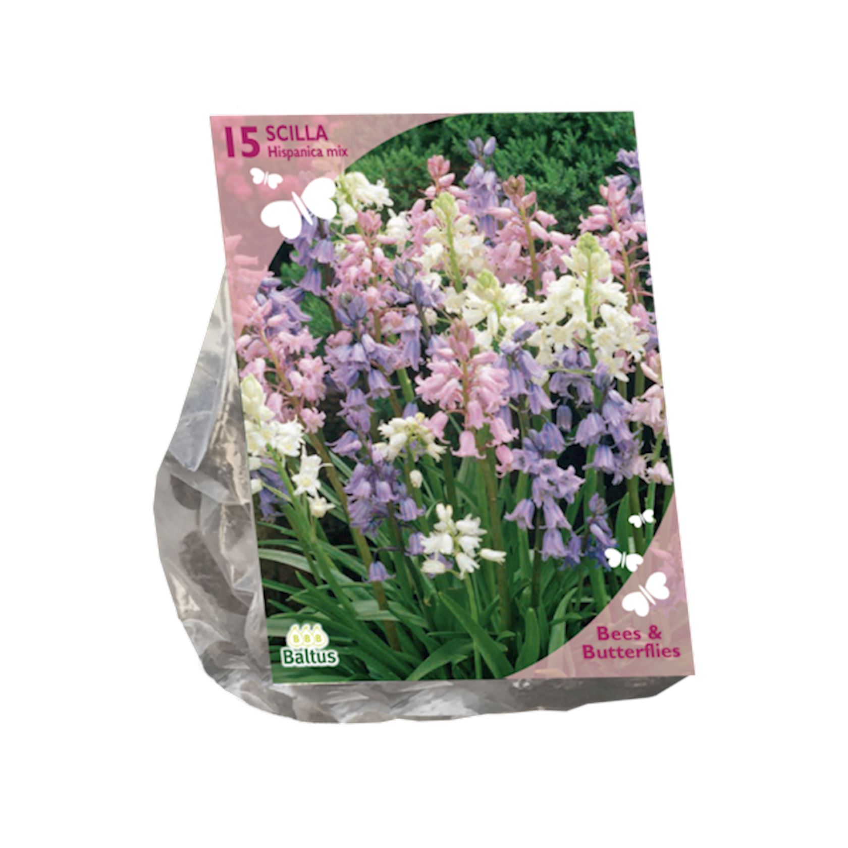 bees-butterflies-scilla-hispanica-wit-per-15