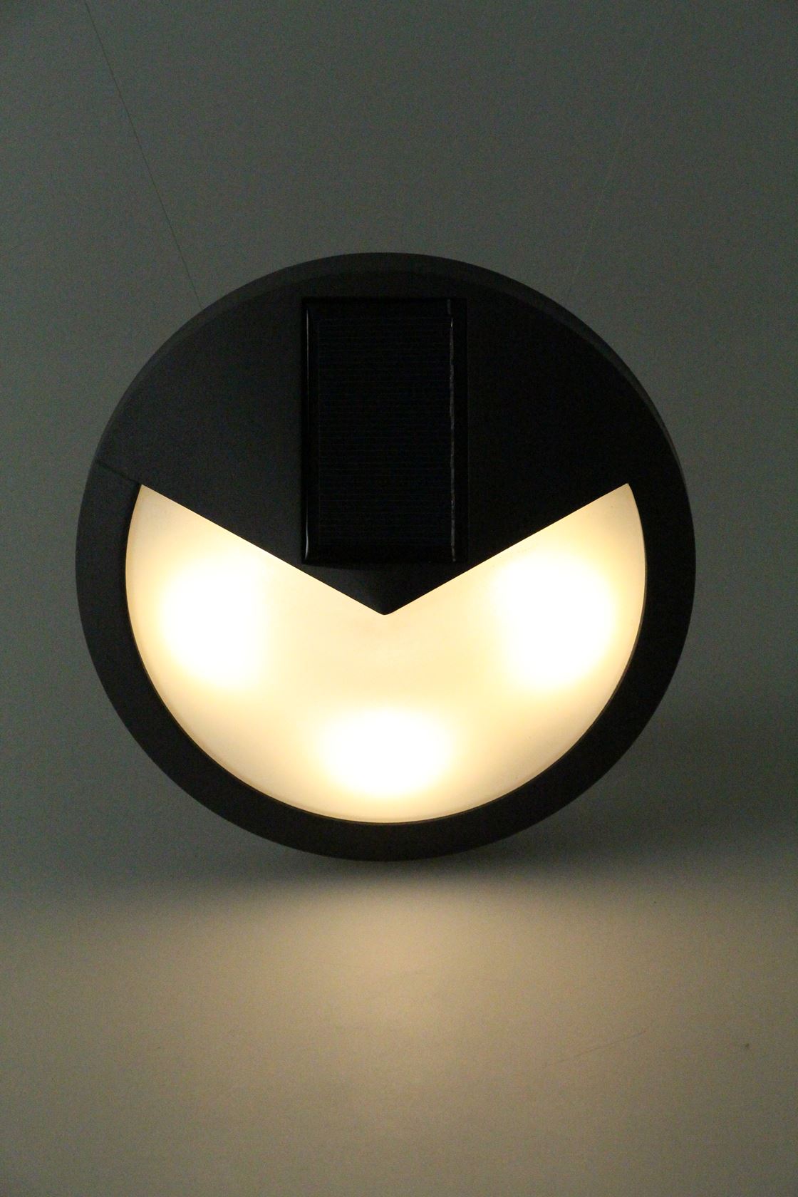 Tuinlamp-LED-solar-wandlamp-pasadena-20-lumen