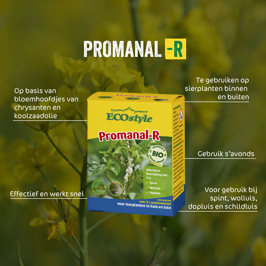 Promanal-R-conc-50-ml