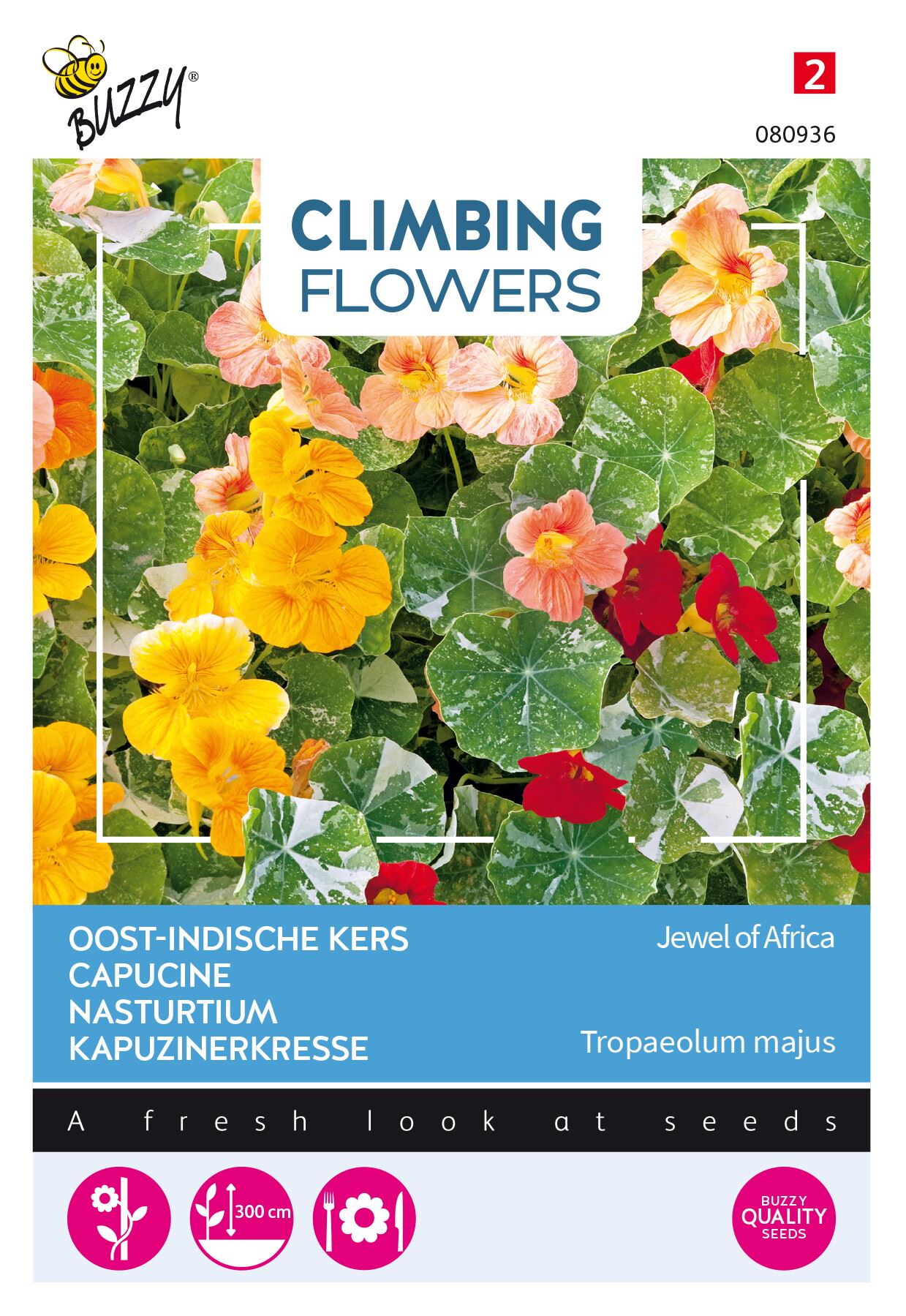 Buzzy-Flowering-Climbers-Tropaeolum-Jewel-of-Africa