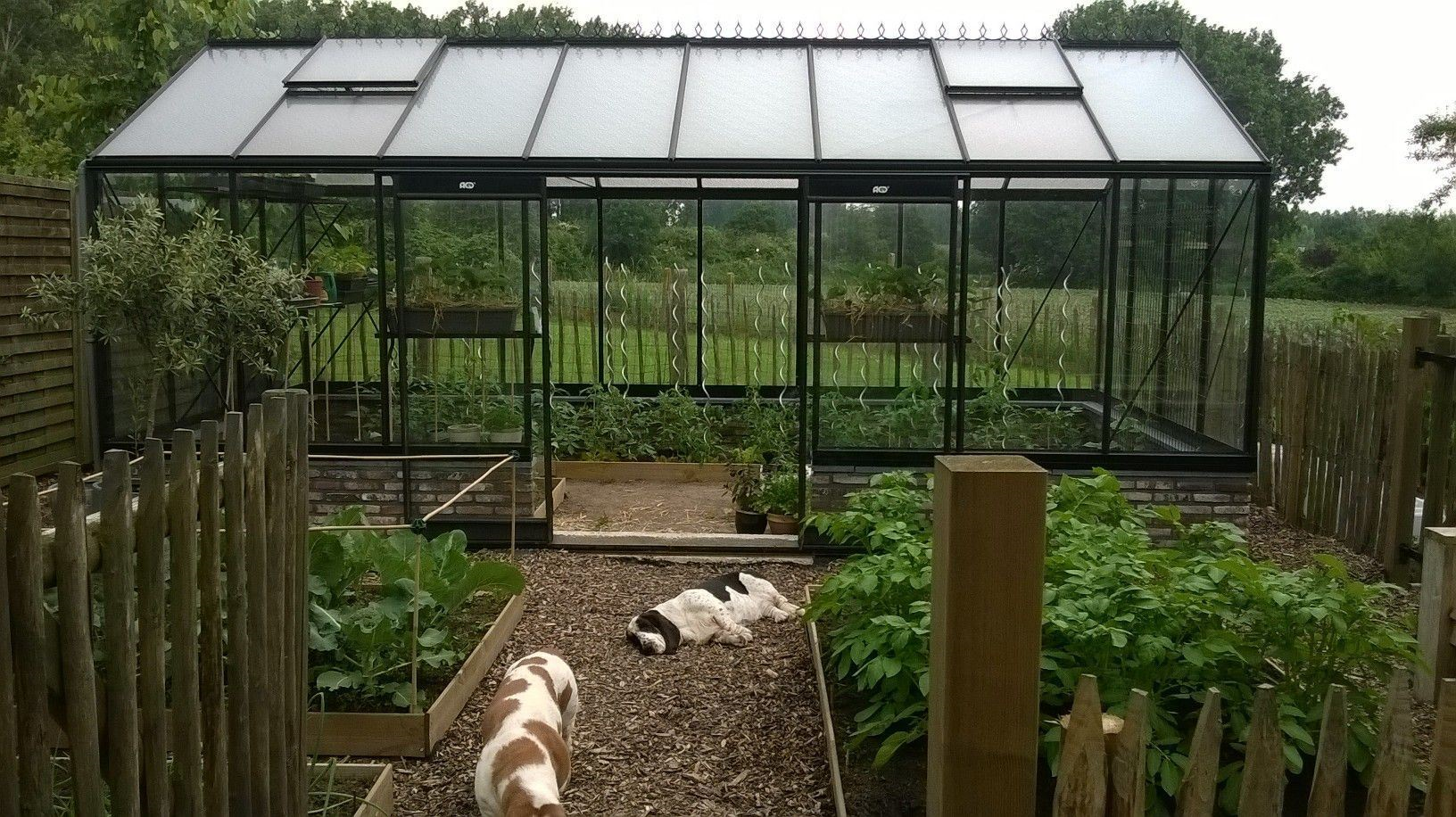 ACD Prestige R308H serre - 3,06x5,93 m - Blackline