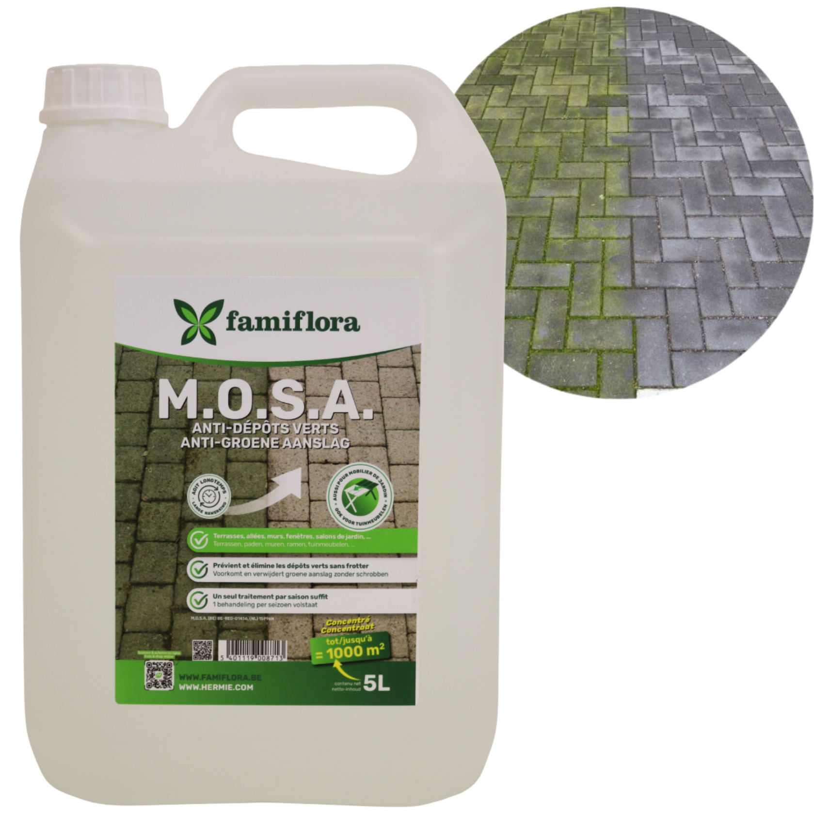 Famiflora - MOSA - 5L - against moss and green deposits - Suitable for 100L of water (1000 m2)