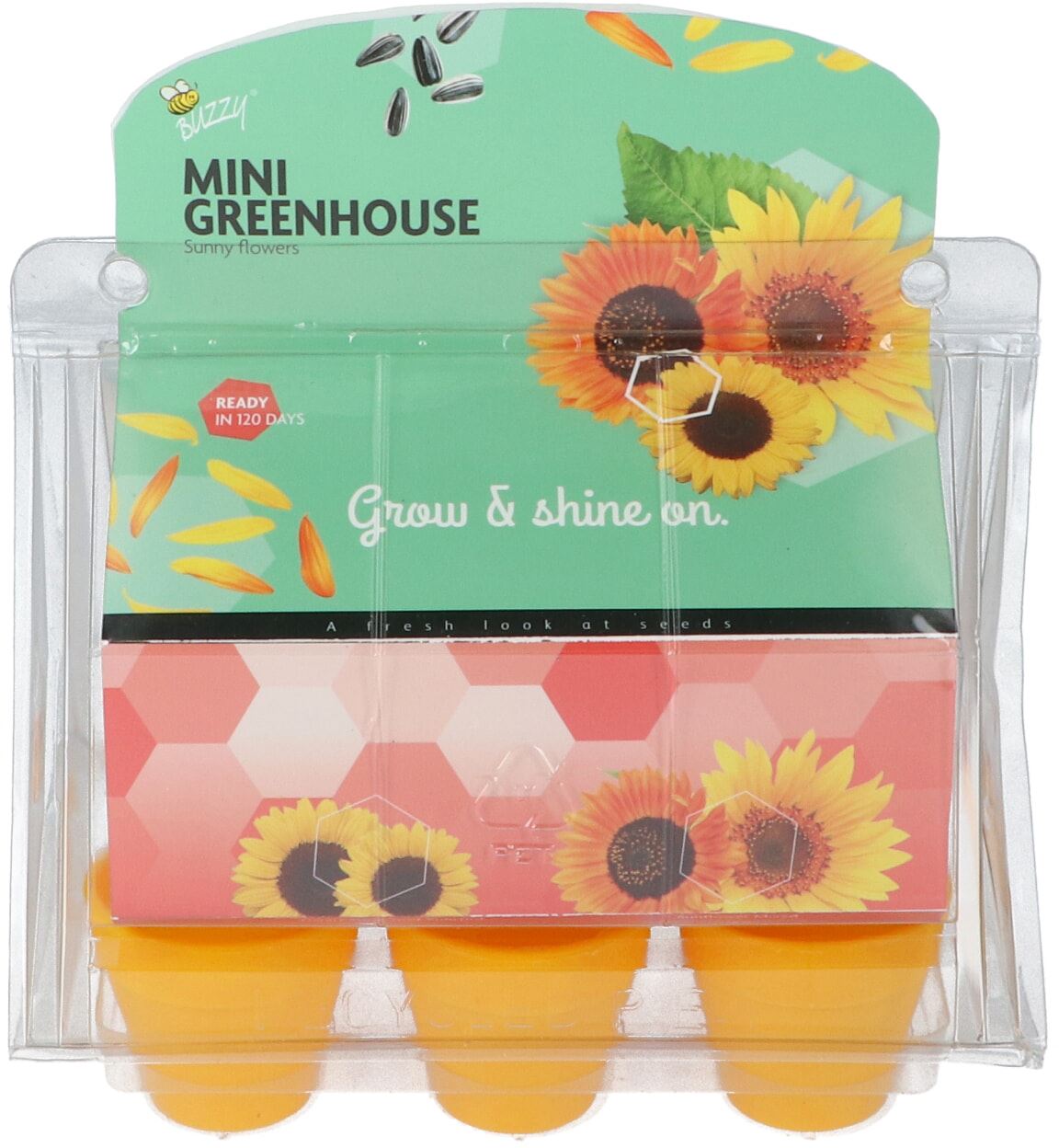 Buzzy-Mini-Greenhouse-Sunny-Flowers-8-