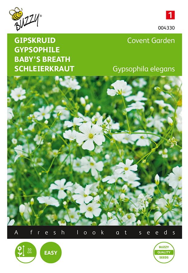 Buzzy-Gypsophila-Gipskruid-Covent-Garden