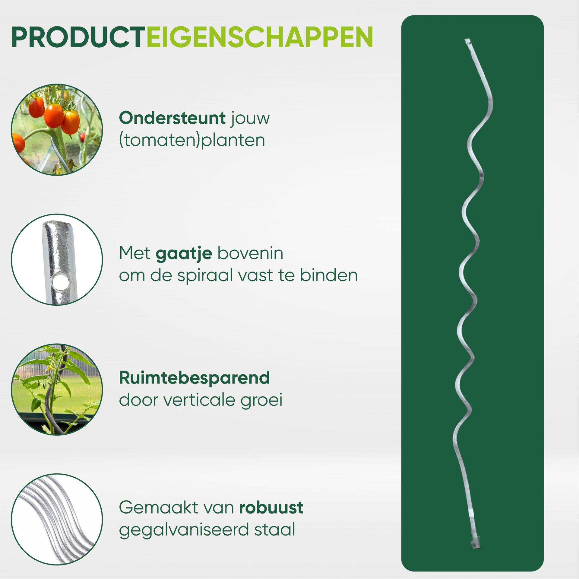 Tomatenspiraal-verzinkt-170cm-6-2mm-1-stuk