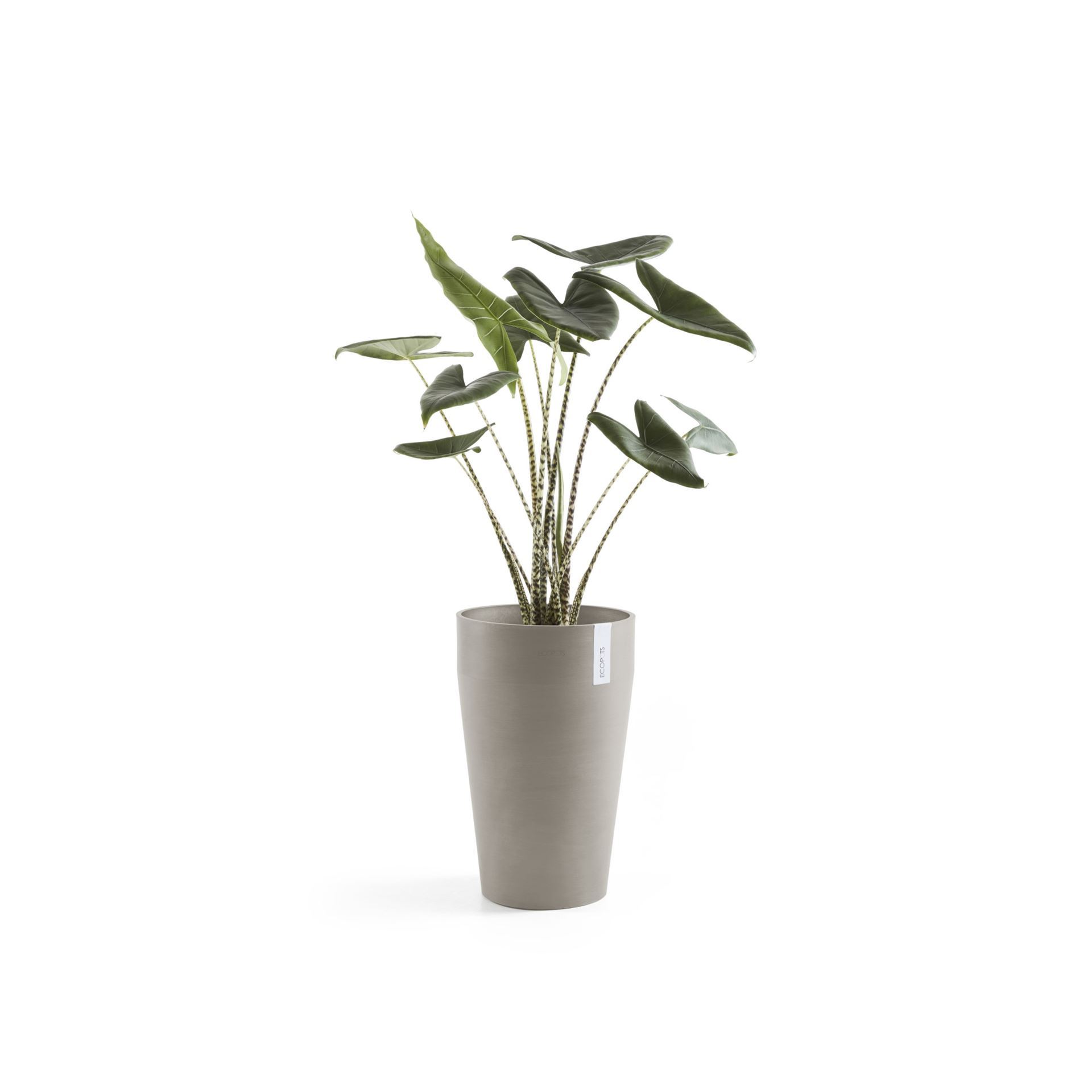 Ecopots-sankara-Mid-high-55-taupe-35-cm-H55-cm