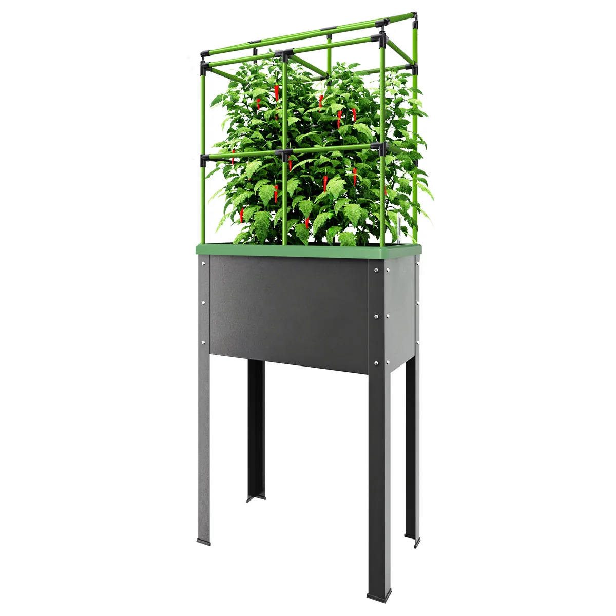 BioGreen City Jungle Growing Container - 34 liters - With irrigation system - Includes climbing support