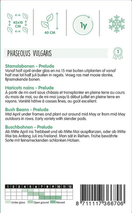 Stamslabonen-Prelude-250-Gr-