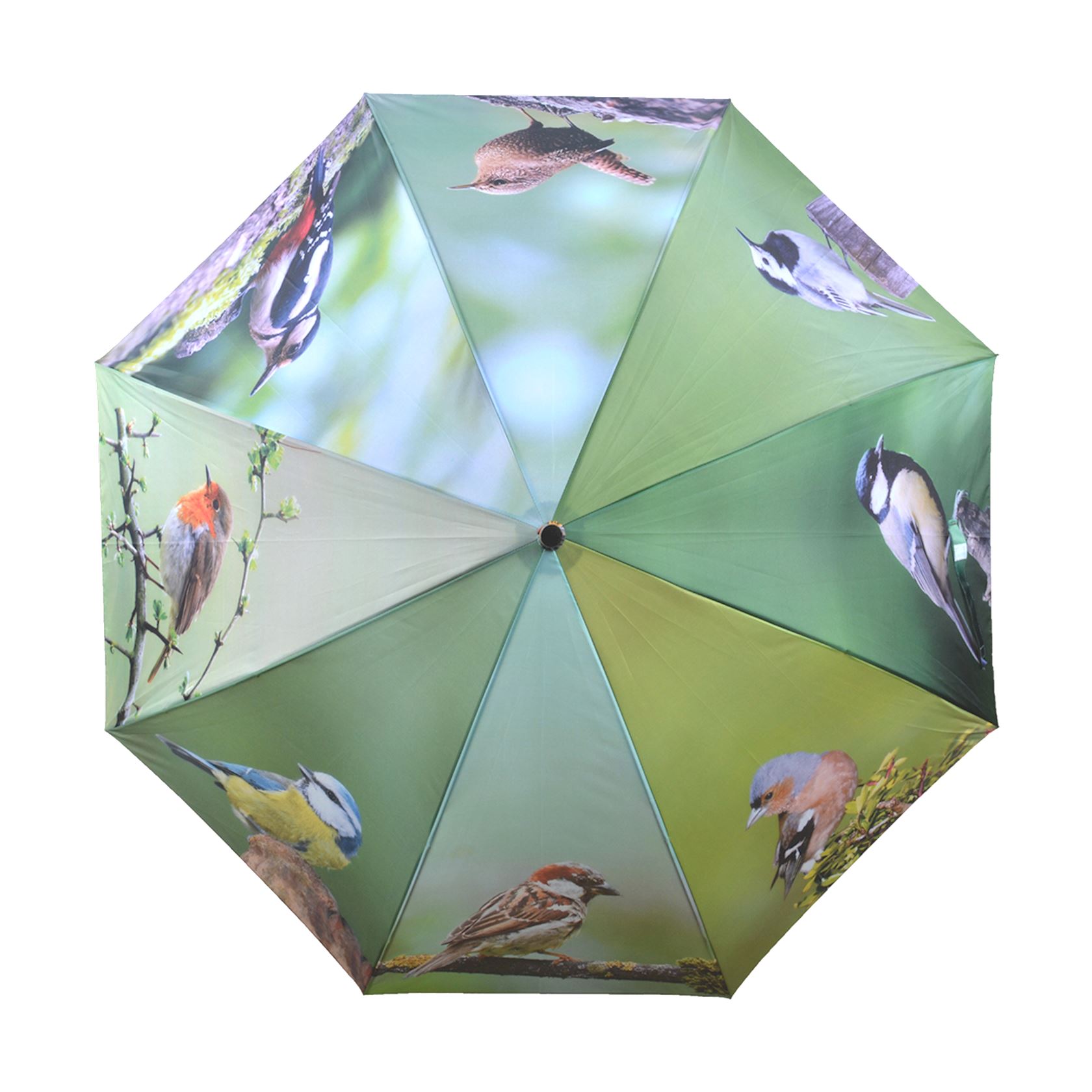 paraplu-vogels