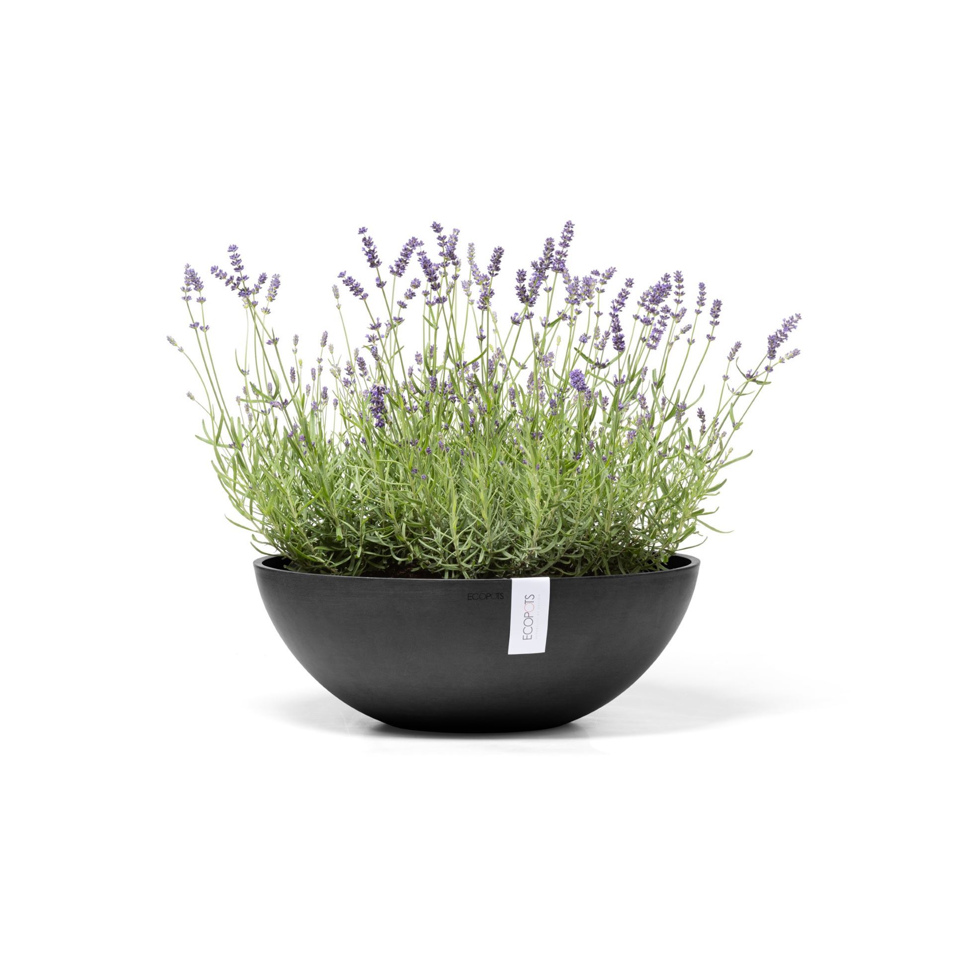 Ecopots-vienna-dark-grey-50-cm-H-18cm