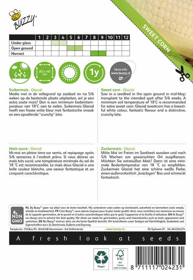 Buzzy-Witte-Mais-Glacial