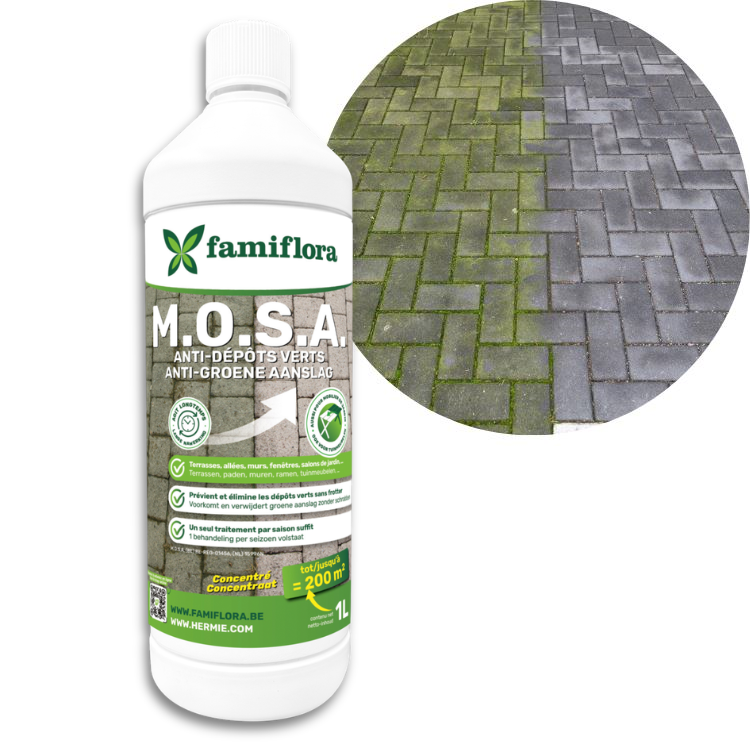 Famiflora - MOSA - 1L - tegen mos en groene aanslag - Voor 20L water (200m²)