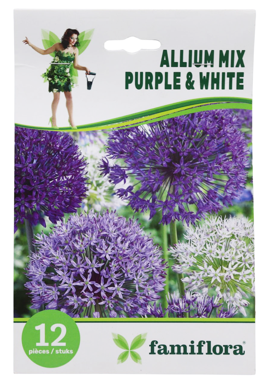 Famiflora Allium Mix Paars/Wit - 12 bloembollen - Grootte 10/12 - Voorjaarsbloeiers