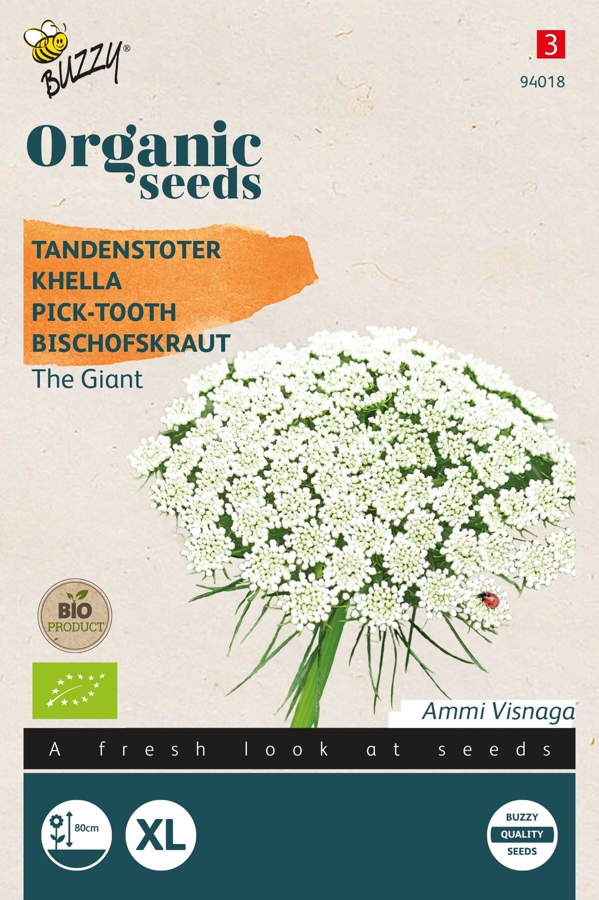 Buzzy-Organic-Tandenstoker-Ammi-Visnagia-The-Giant-BIO