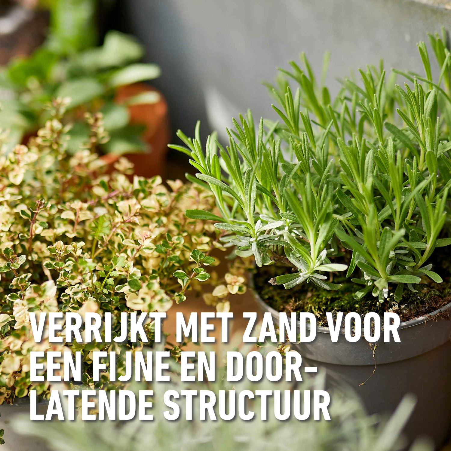 Compo-bio-kruidenpotgrond-10L