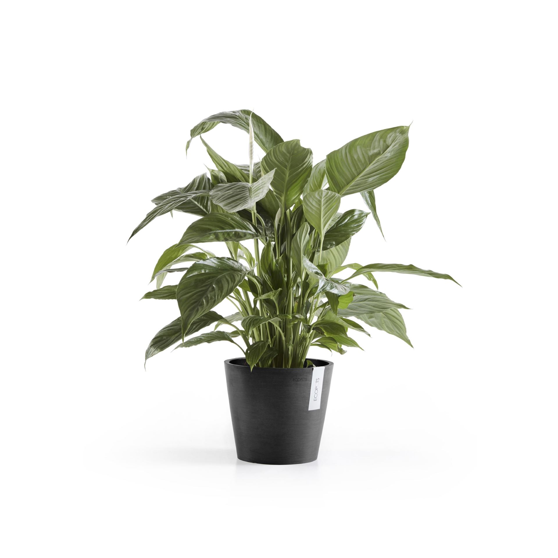 Ecopots-amsterdam-dark-grey-20-cm-H17-5-cm