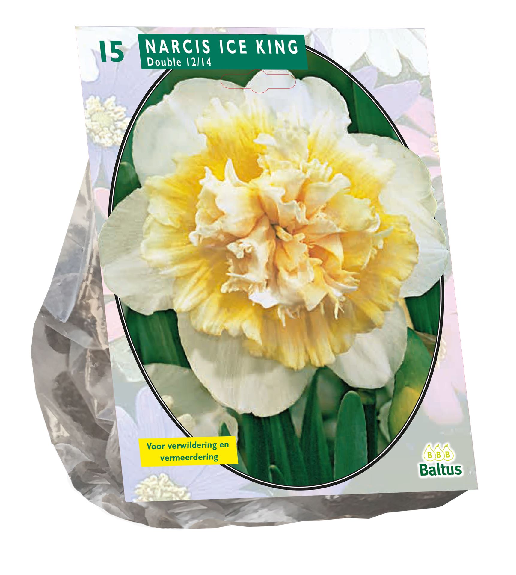 Narcis-Ice-King-per-15