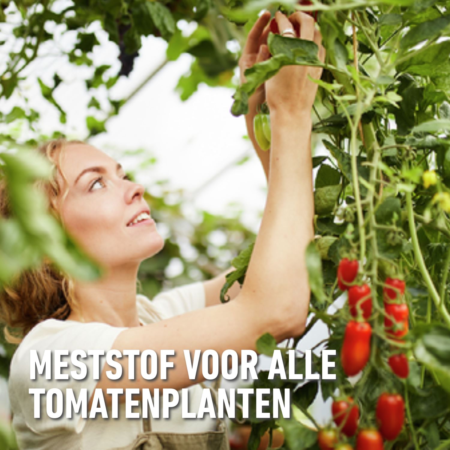 Compo-bio-vloeibare-meststof-tomaten-1L