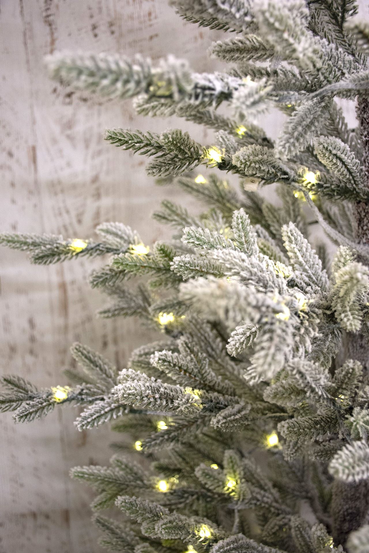 Snowy-Jersey-full-PE-180cm-200L-8fct