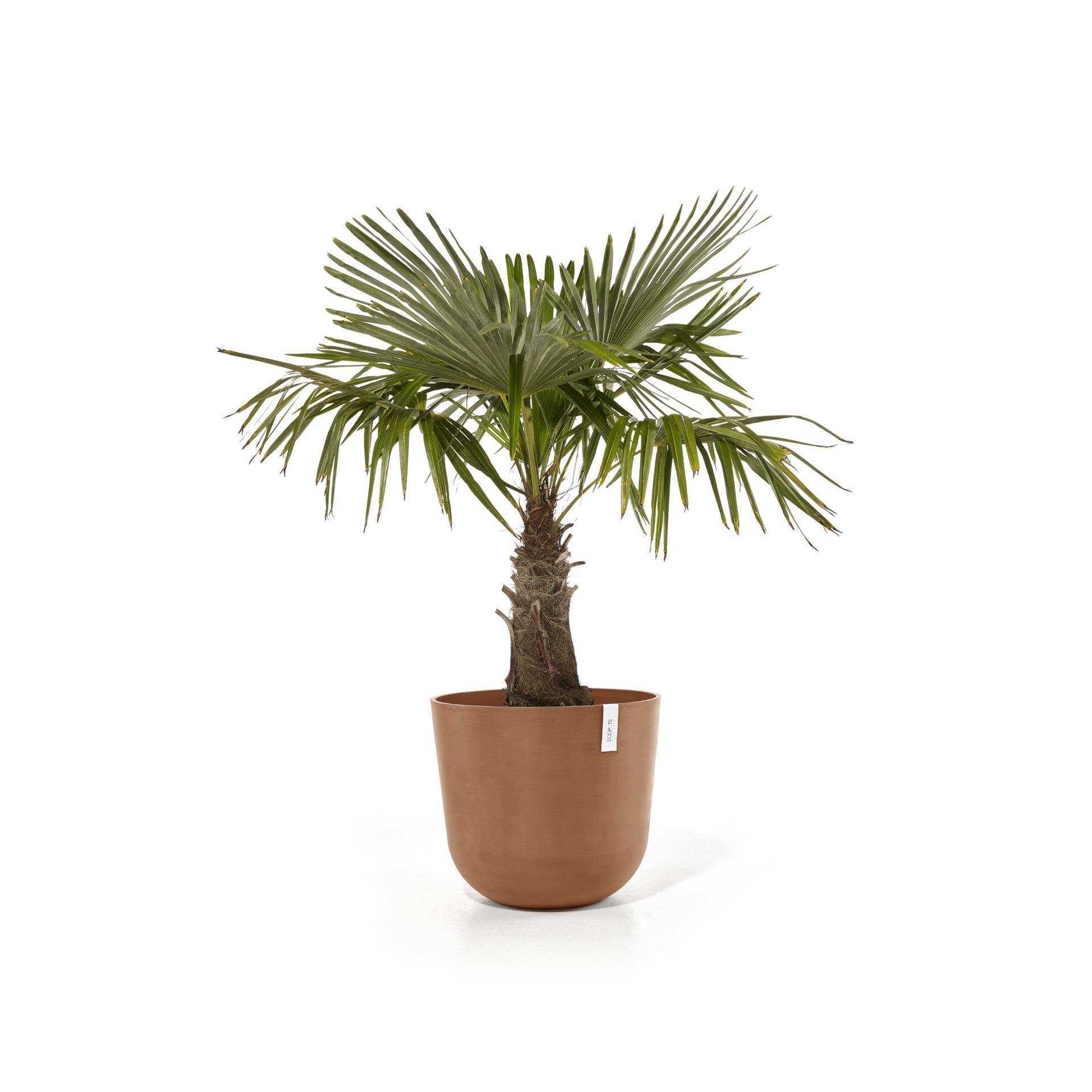 Ecopots-oslo-terra-55-cm-H47-9-cm