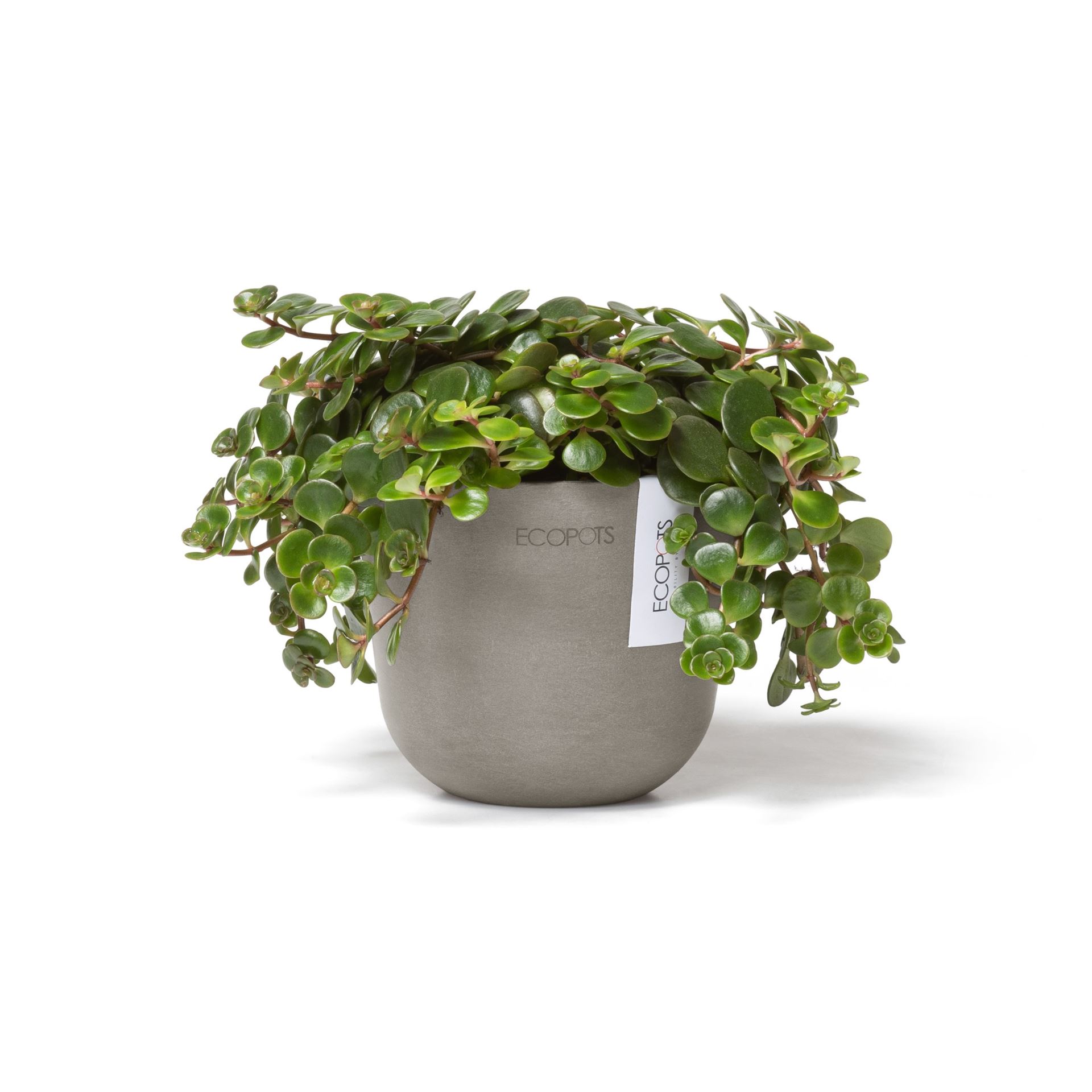 Ecopots-oslo-mini-taupe-11-5-cm-H10-cm