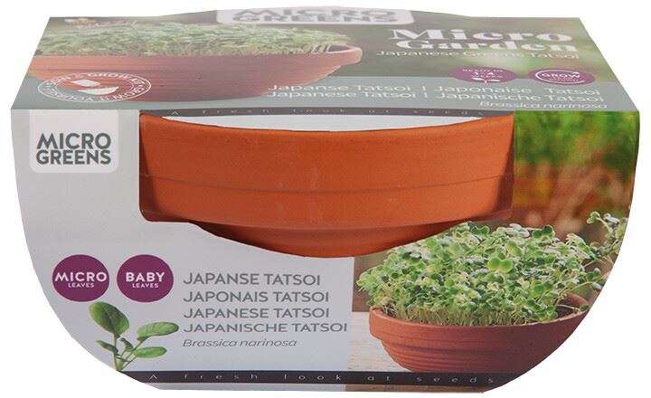 Buzzy-Microgreens-Terra-Schaaltje-Tatsoi