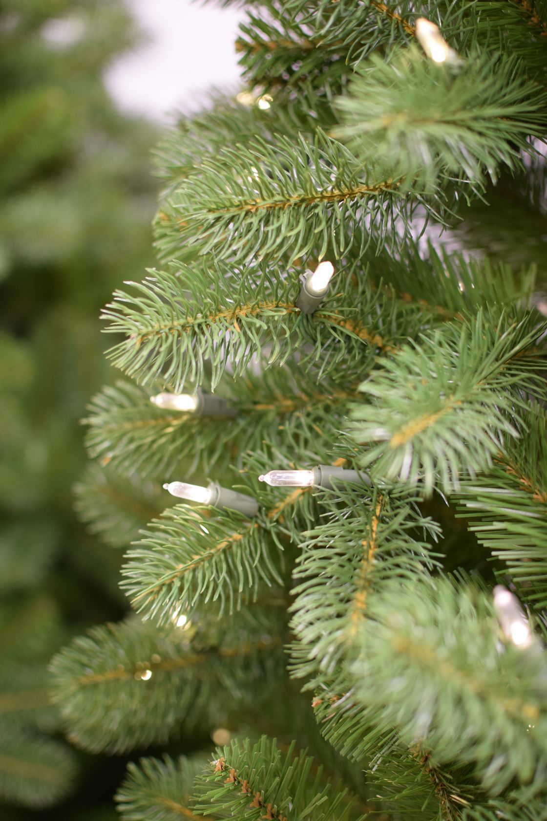 Poly-Bayberry-Hinged-Power-Connect-h274cm-750L