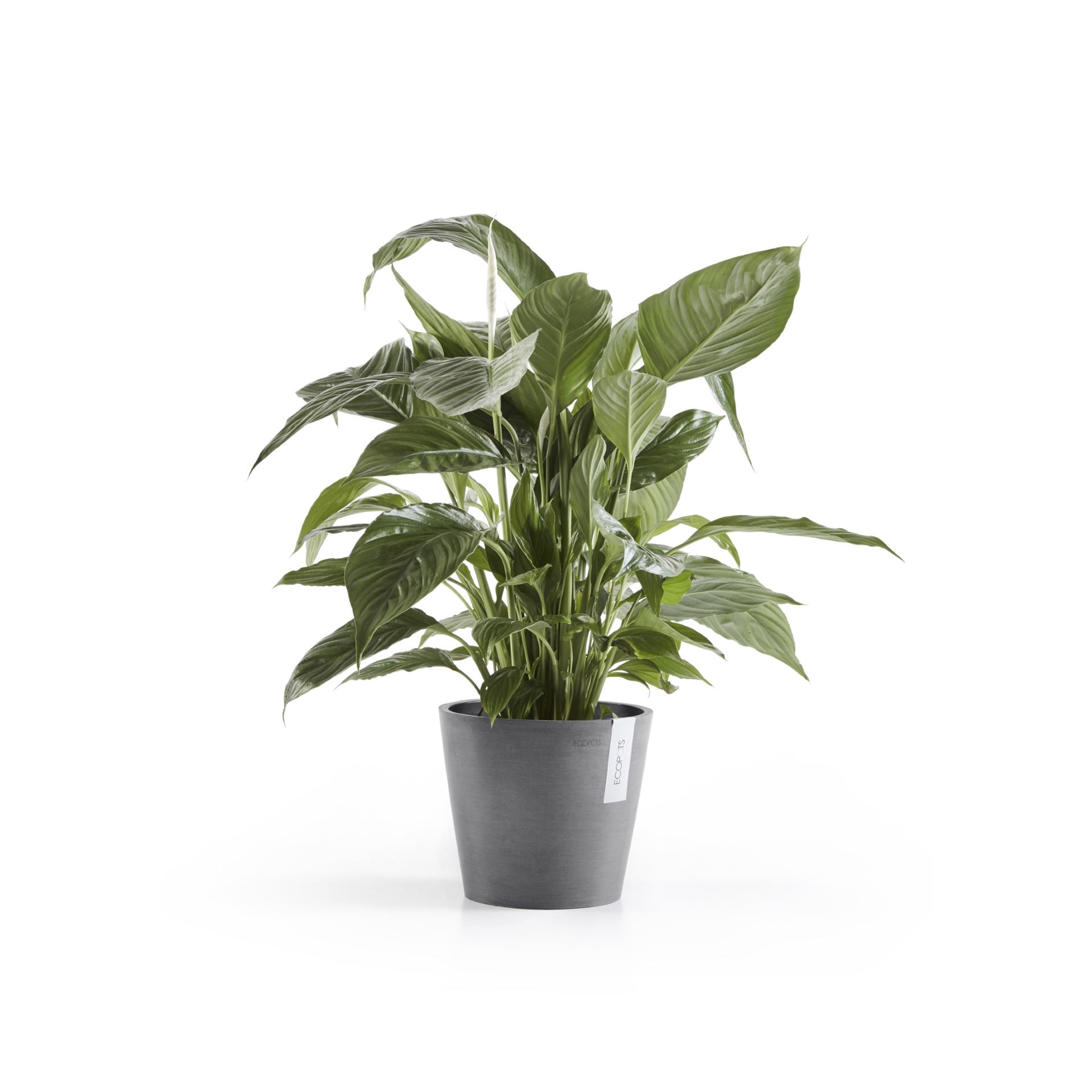 Ecopots-amsterdam-grey-20-cm-H17-5-cm