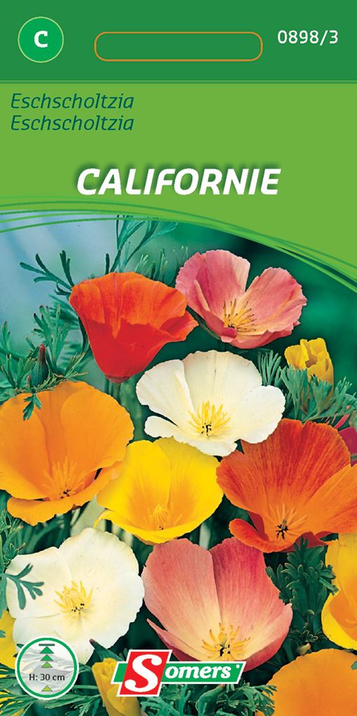 eschscholtzia-van-californie