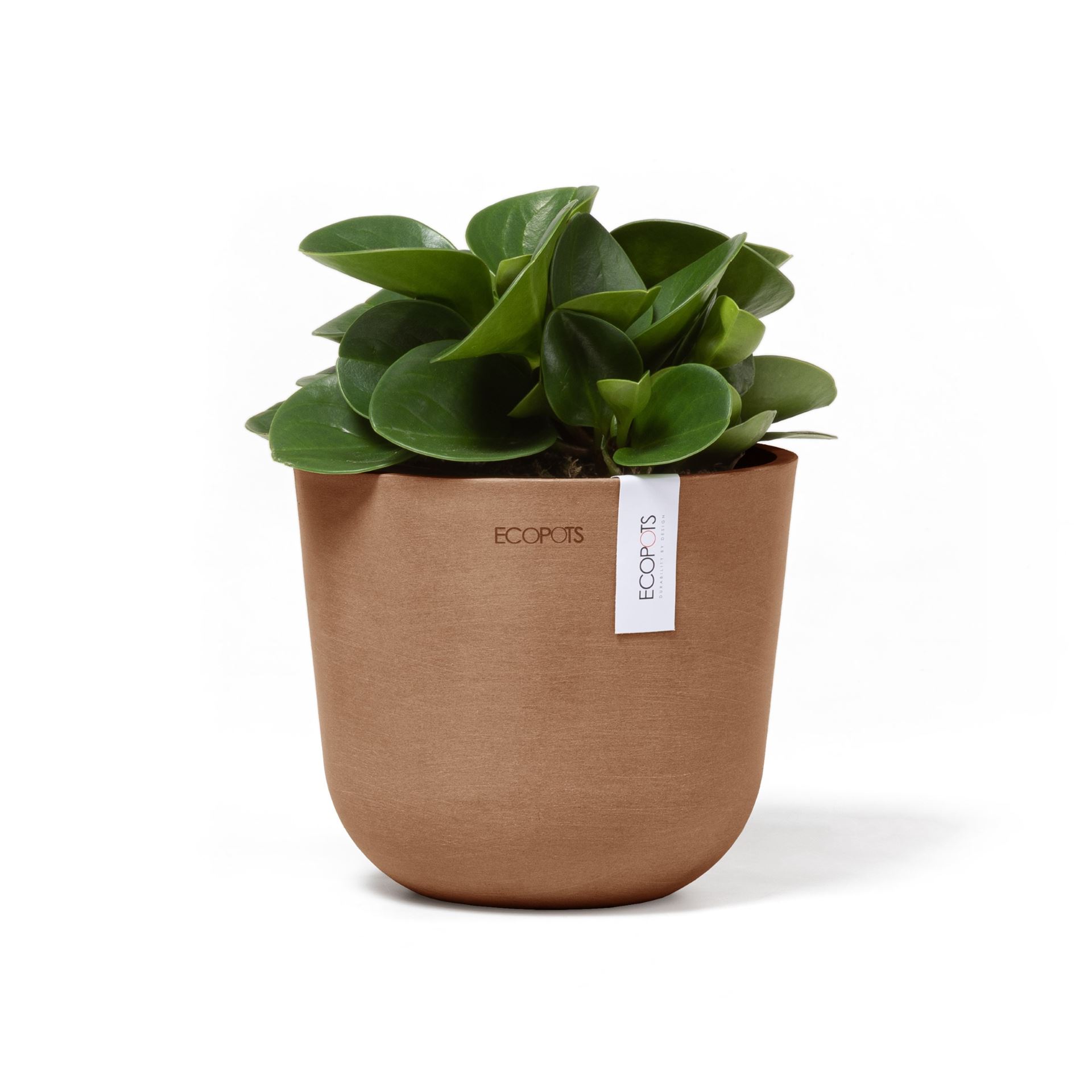 Ecopots-oslo-mini-terra-16-cm-H13-cm