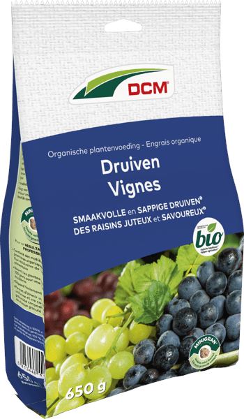 dcm-druiven-0-65kg