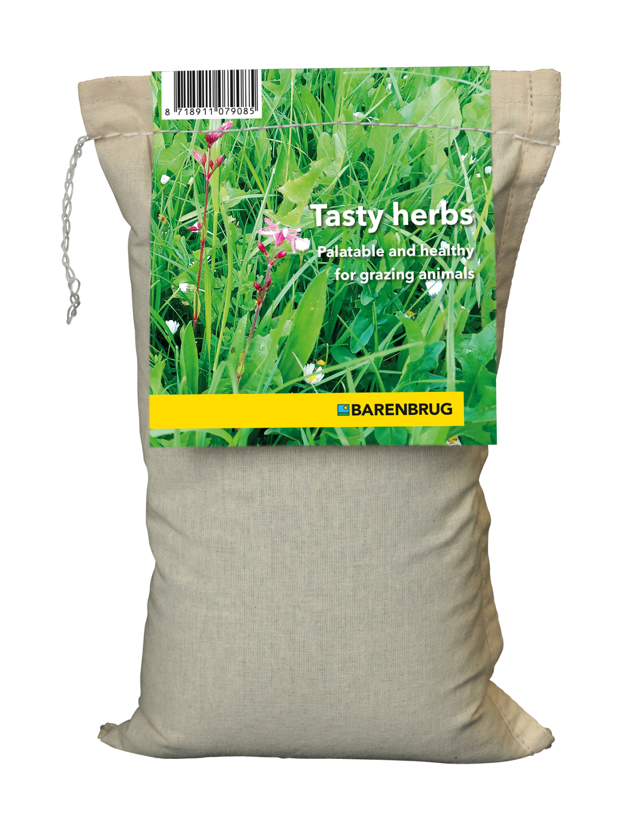 Barenbrug kruidenmengsel - Tasty Herbs - voor paarden, runderen en kleinvee - inzaaibaar met gras of puur - 1kg