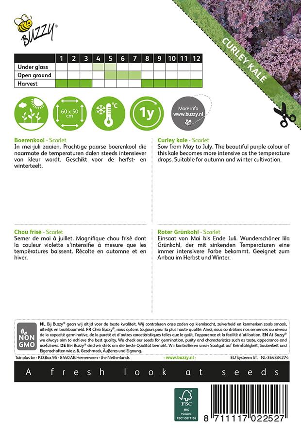 Buzzy-Boerenkool-Scarlet-Paars