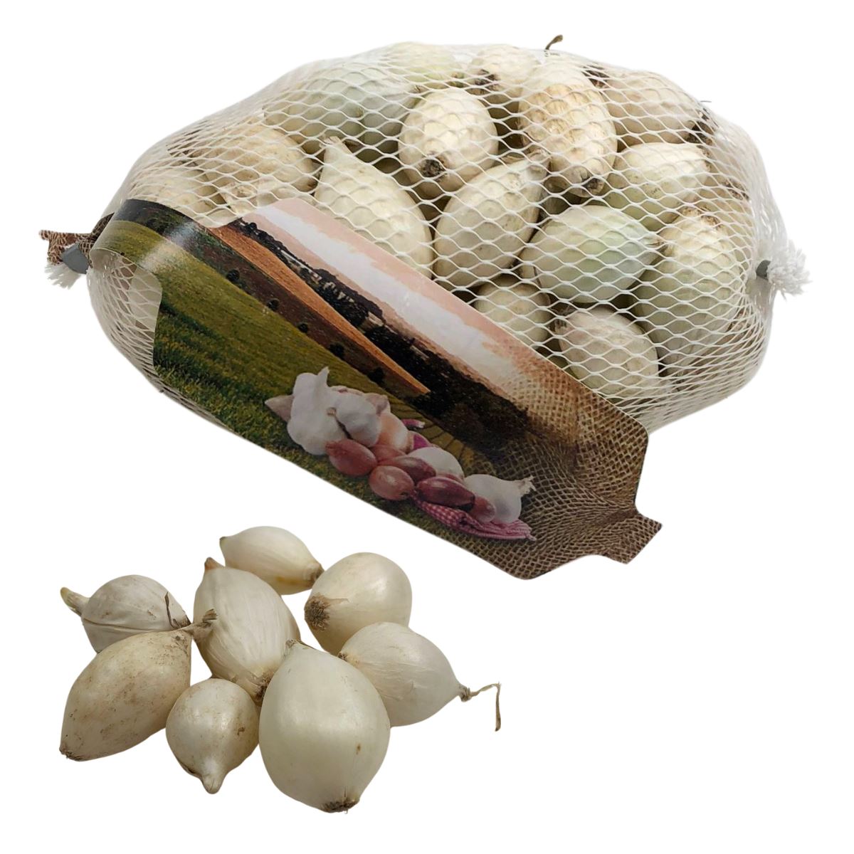 Plantajuin-Snowball-Wit-netje-250gr-14-21mm