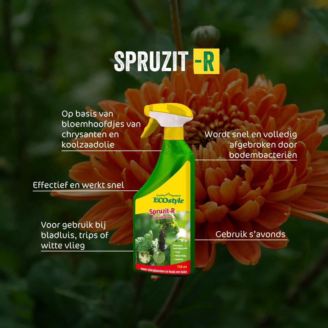 Spruzit-R-gebruiksklaar-750-ml