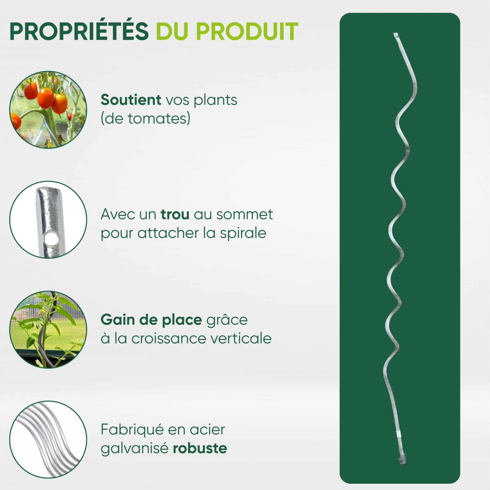 Famiflora spirales de tomates galvanisées - 1m70 - Par 10 pièces