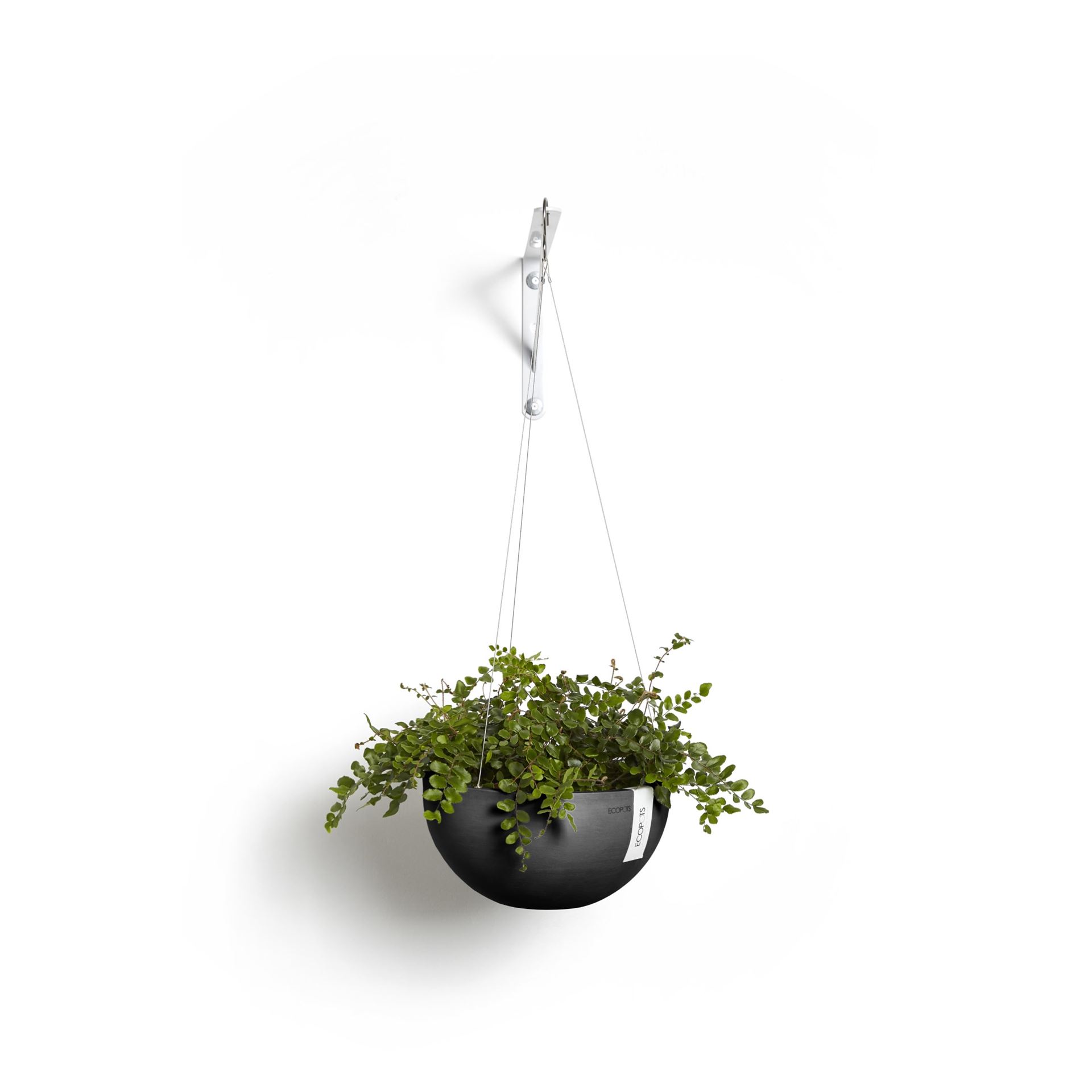 Ecopots-brussels-hanging-dark-grey-27-cm-H13-cm-incl-waterreservoir