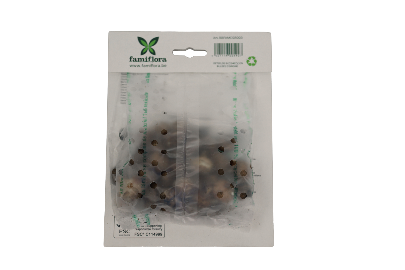 Famiflora Crocus Botanical - 40 bulbs - Spring flowering bulbs