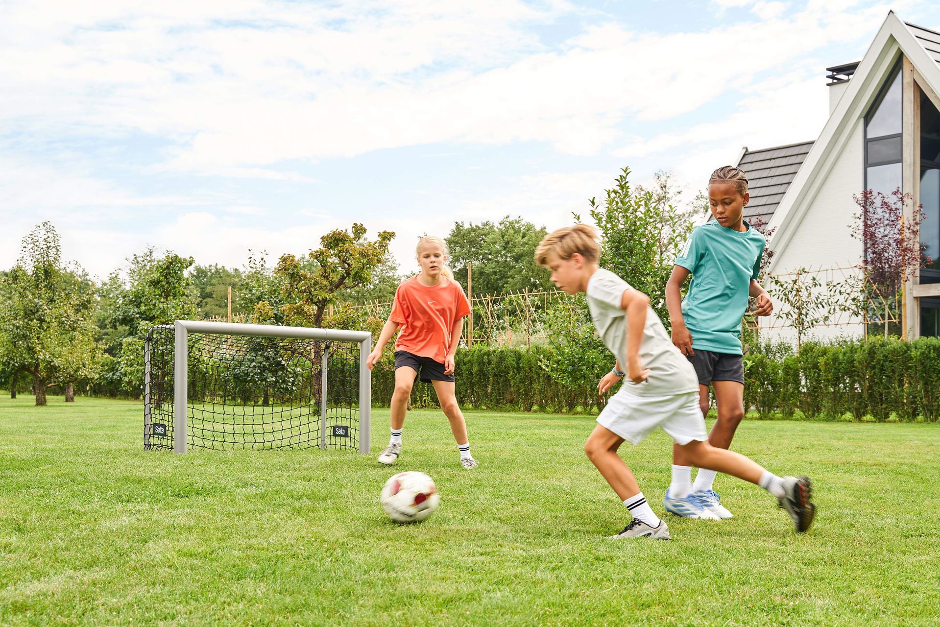 Salta-Champion-120x80x60cm