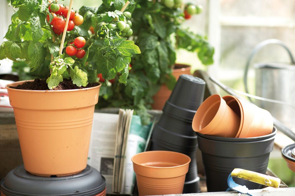 green-basics-kweekpot-35cm-mild-terra