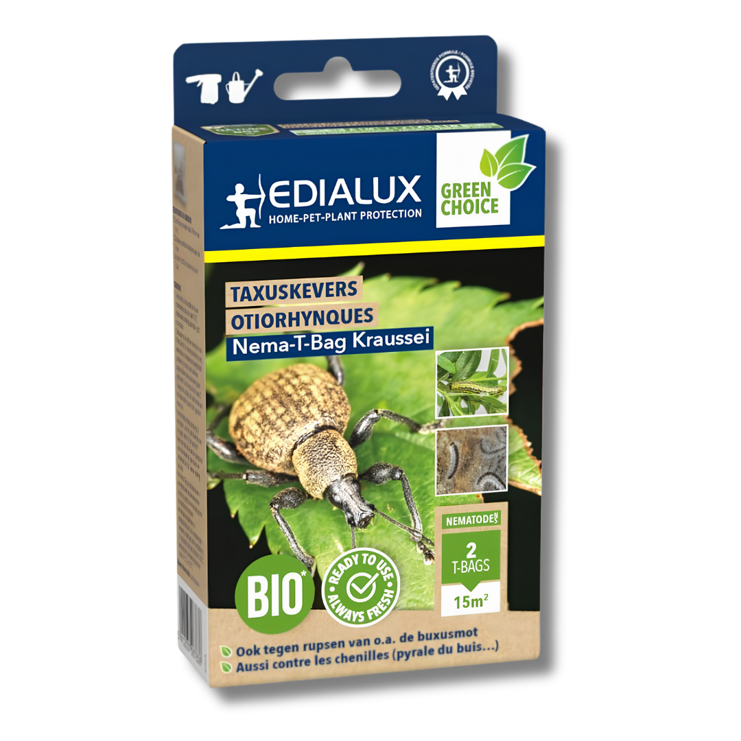 Edialux Nema-t-bag Kraussei: nematodes - for max. 15m² - against yew beetle/(buxus moth) caterpillars/marigold fern midges