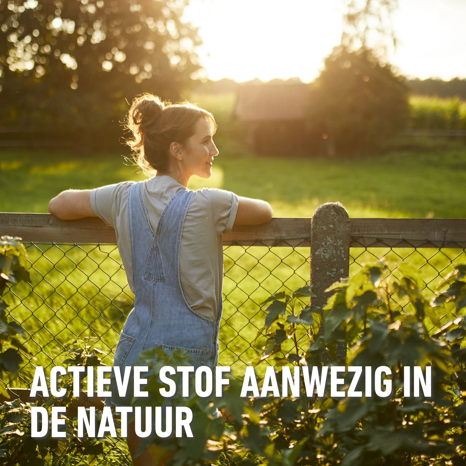 Compo-bio-anti-onkruid-anti-mos-paden-terrassen-ready-2-5L