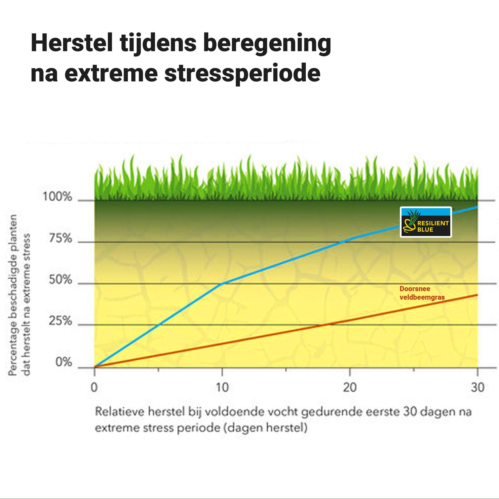 Resilient-Blue-Lawn-Tough-easy-5kg