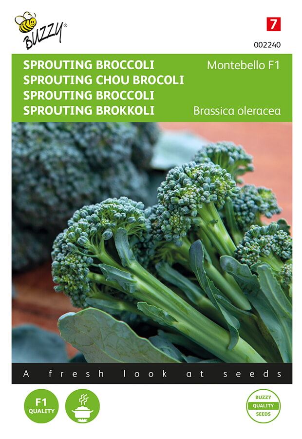 Buzzy-Sprouting-Broccoli-Montobello-F1