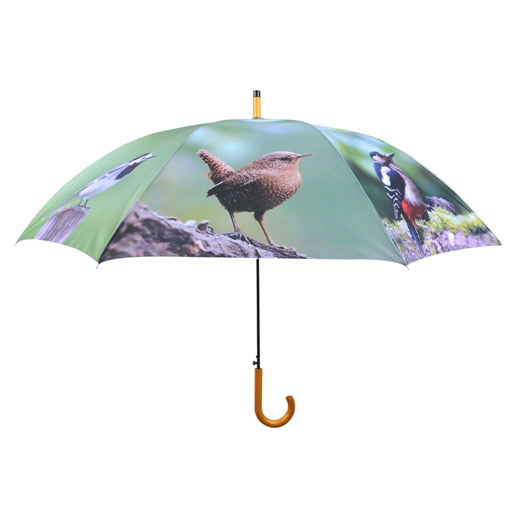 paraplu-vogels